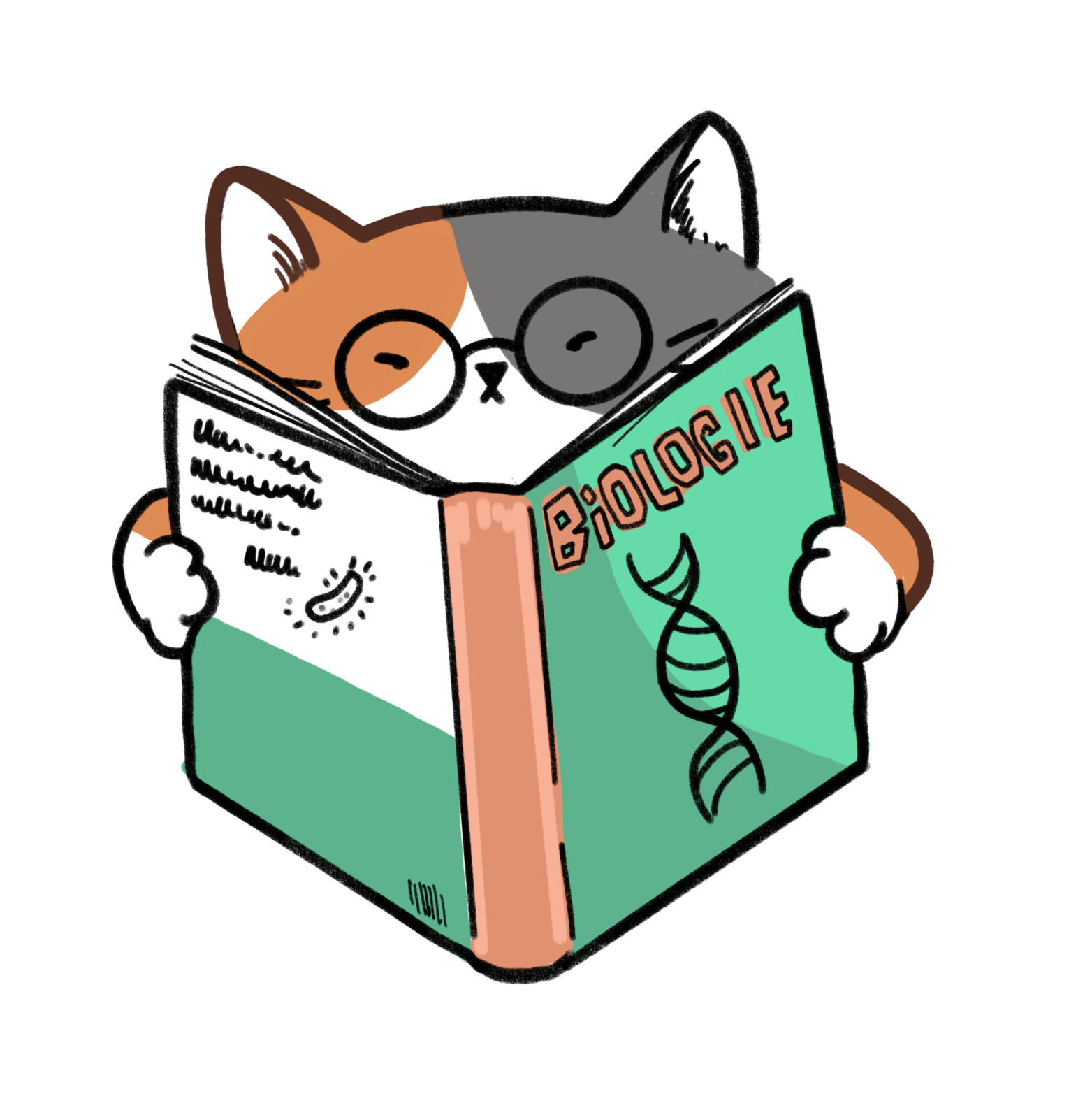 Lern-Cat